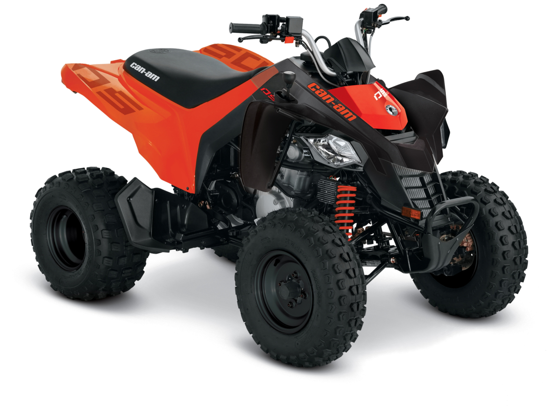 Can-Am DS 250 STD